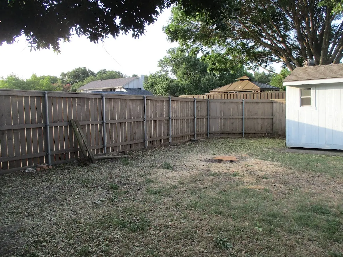 Cleared yard after professional tree removal in Coulter