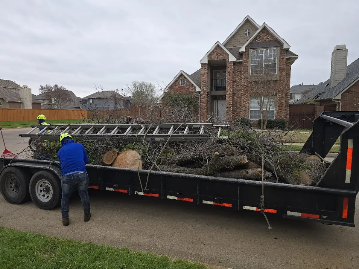 Expert Tree Fertilization with proper safety equipment in Coulter